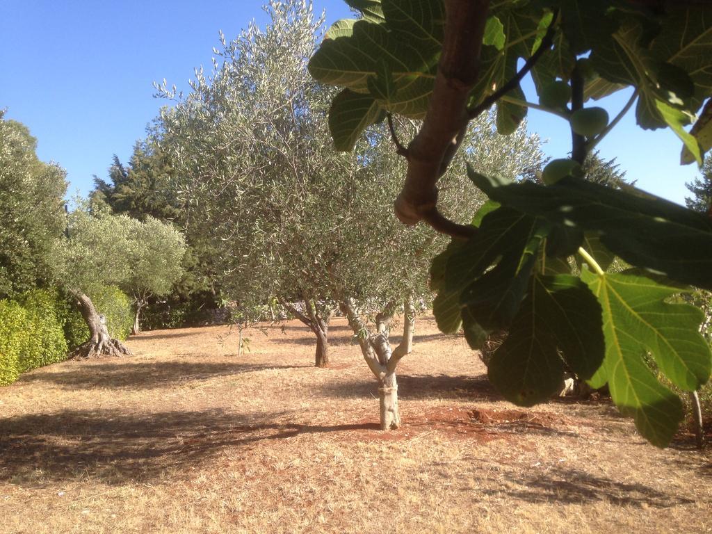Trullo Picchiagiuda Villa Ostuni Eksteriør bilde